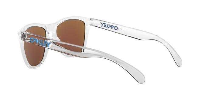 Oakley Frogskins Glasses-12