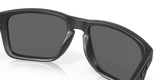 Oakley Holbrook XL Glasses-10