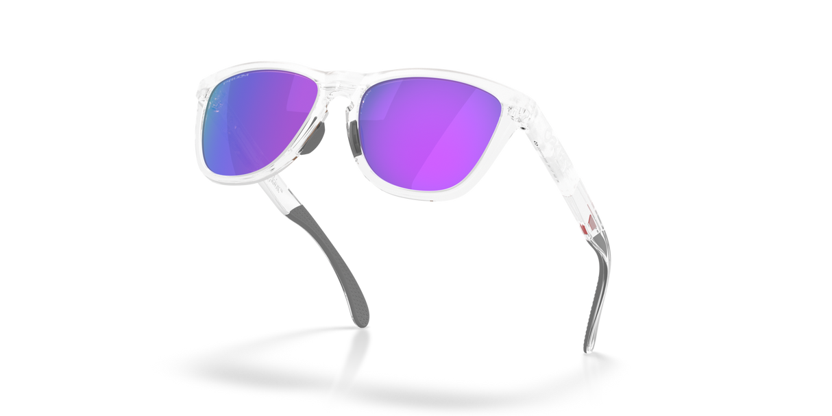 Oakley Frogskins Range XL A Glasses-5