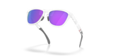 Oakley Frogskins Range XL A Glasses-5