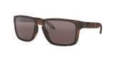 Oakley Holbrook XL Glasses-4