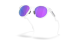 Oakley HSTN Glasses-5