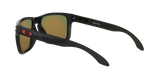 Oakley Holbrook XL Glasses-12