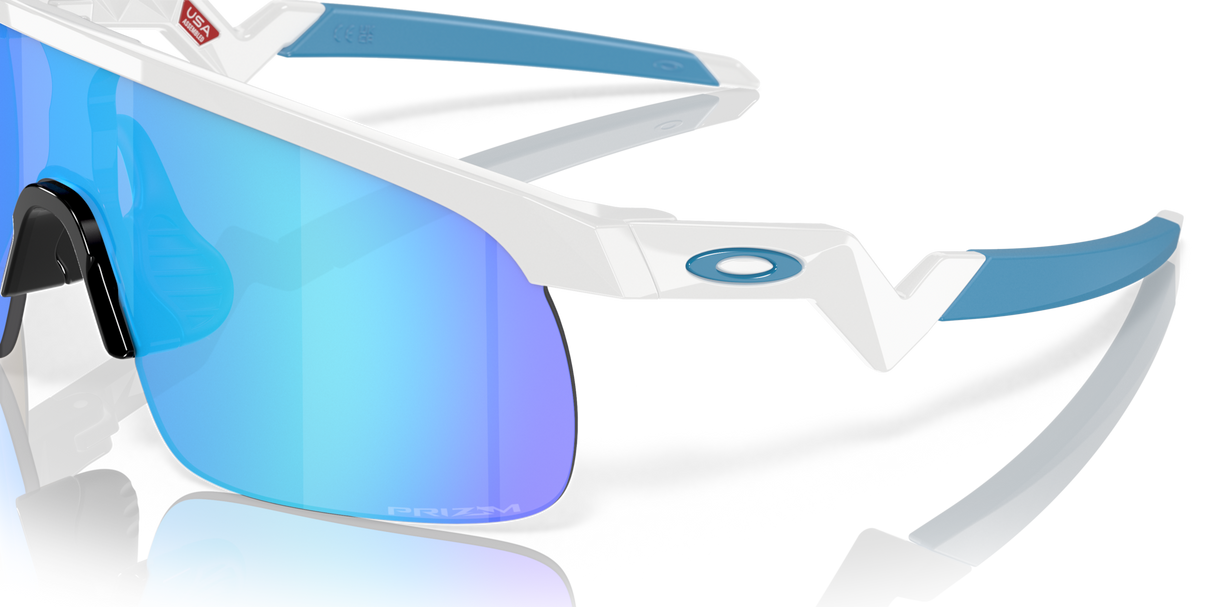 Oakley Resistor Sunglasses-9