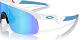 Oakley Resistor Sunglasses-9