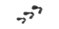 Oakley Vanguard Nose-Pad Replacements