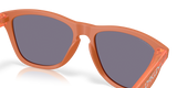 Oakley Frogskins A Glasses-7