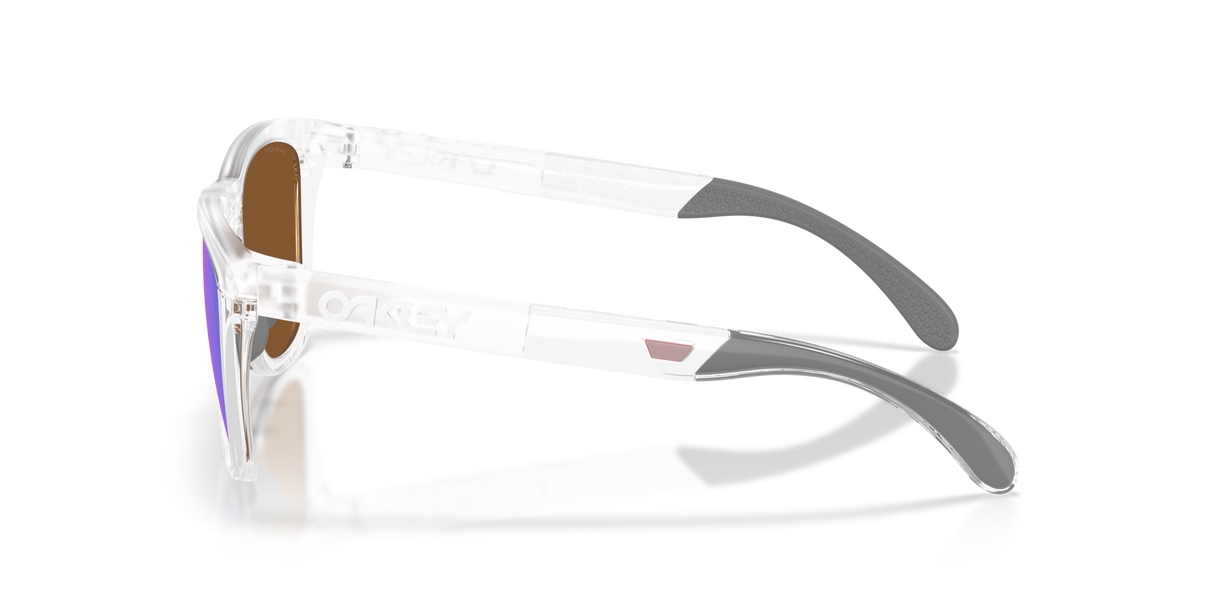 Oakley Frogskins Range XL Glasses-3