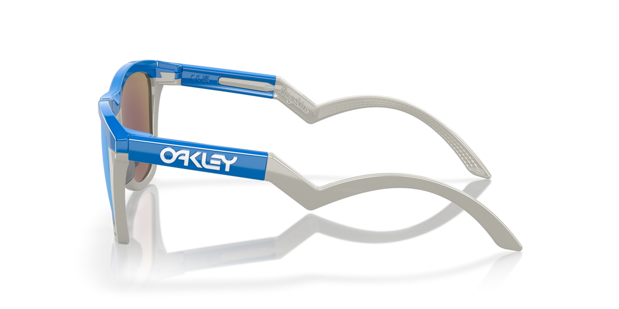 Oakley Frogskins Hybrid Glasses-3