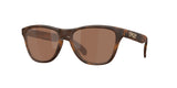 Oakley Frogskins S Glasses-1