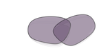 Oakley Neoforma Replacement Lenses
