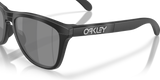 Oakley Frogskins Range XL A Glasses-6