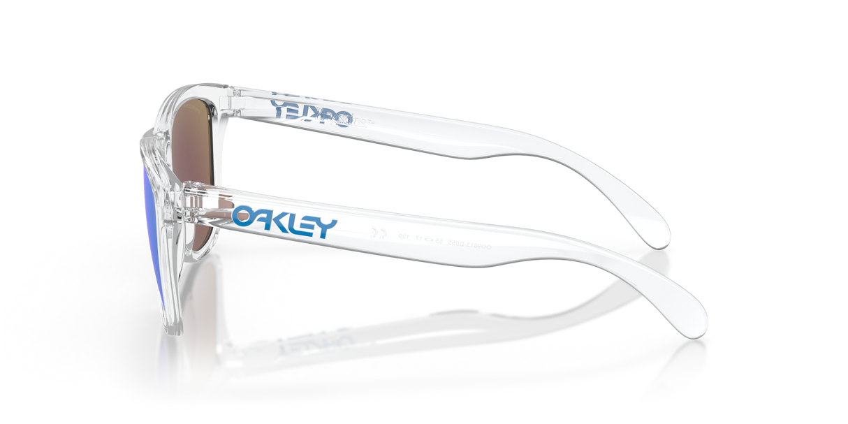 Oakley Frogskins Glasses-5