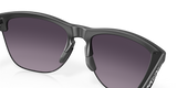 Oakley Frogskins Lite Glasses-11