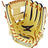 All Star The Anvil 11.5" Weighted Training Glove