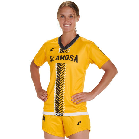 Custom Single Ply Reversible V Neck Short Sleeve T-Shirt Soccer Jersey Team Soccer Jerseys