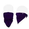 Badger B-Core Face Guard Badger