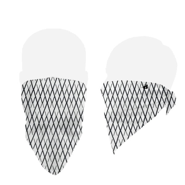 Badger B-Core Face Guard