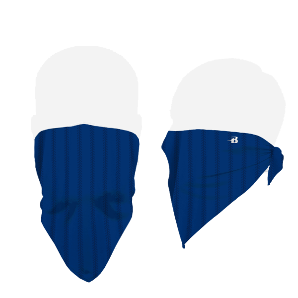 Badger B-Core Face Guard Badger