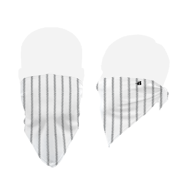 Badger B-Core Face Guard