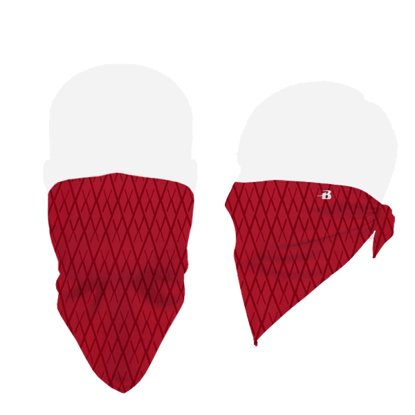 Badger B-Core Face Guard Badger