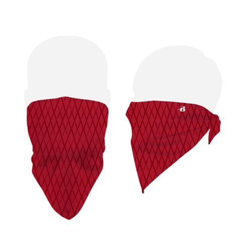 Badger B-Core Face Guard Badger