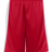 Badger Men's Challenger Shorts Badger