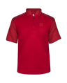 Badger Men's Sport Stripe Short-Sleeve 1/4 Zip Badger