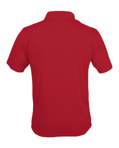 C2 Men's Polo