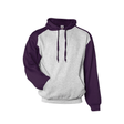 Badger Men's Athletic Fleece Sport Hoodie Badger