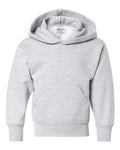 Hanes Youth Ecosmart Hooded Sweatshirt Hanes
