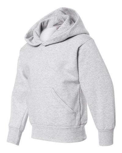 Hanes Youth Ecosmart®  Hooded Sweatshirt