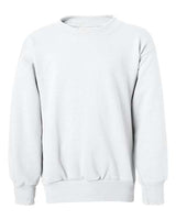 Hanes Youth Ecosmart® Crewneck Sweatshirt Hanes