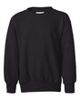 Hanes Youth Ecosmart® Crewneck Sweatshirt Hanes