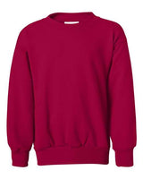 Hanes Youth Ecosmart® Crewneck Sweatshirt Hanes
