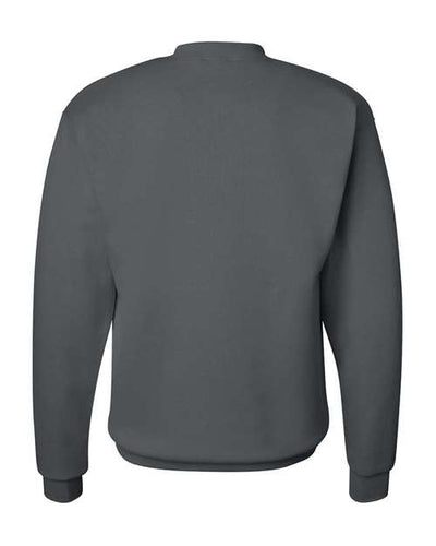 Hanes Men's Ecosmart® Crewneck Sweatshirt