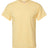 Hanes Men's Essential-T T-Shirt Hanes