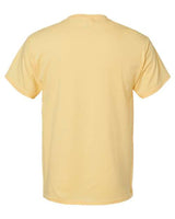 Hanes Men's Essential-T T-Shirt Hanes