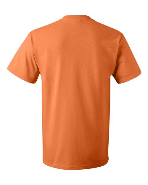 Fruit of the Loom Men's HD Cotton Short Sleeve T-Shirt Fruit of the Loom
