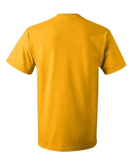 Fruit of the Loom Men's HD Cotton Short Sleeve T-Shirt Fruit of the Loom