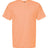 Tultex Unisex Jersey T-Shirt Tultex