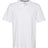 IZOD Advantage Performance Polo IZOD