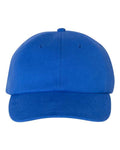 Champion Men's Jersey Knit Dad's Cap Champion