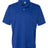 Hanes Cool DRI® Polo Hanes