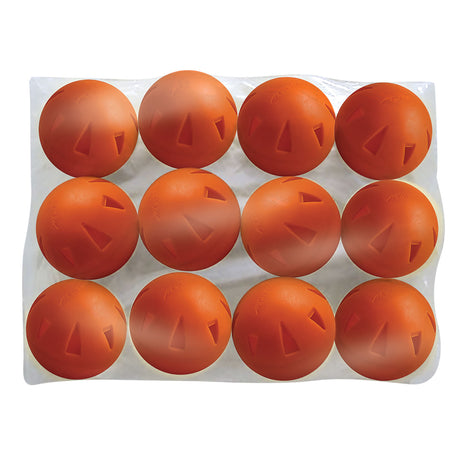 Champro 9" Brute Poly Ball - Dozen Champro