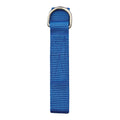 Champro 60" Pro Football Belt - Dozen Champro