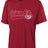 Holloway Men's CYR Adult Ball Park Jersey Holloway
