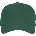 adidas Structured Flex Cap adidas