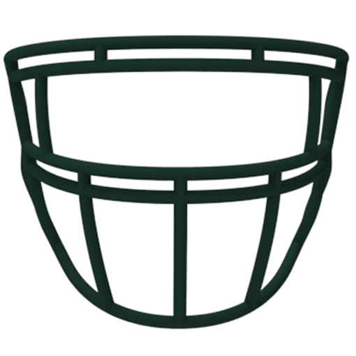Light LS2 P1 Youth Carbon Steel Facemask Light