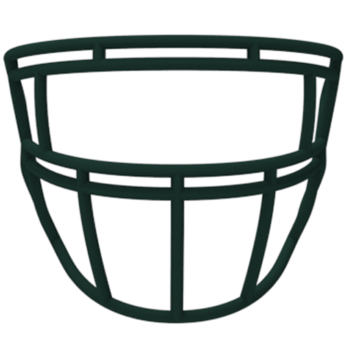 Light LS2 P1 Youth Carbon Steel Facemask